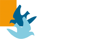 Belgica De Weerd Collection