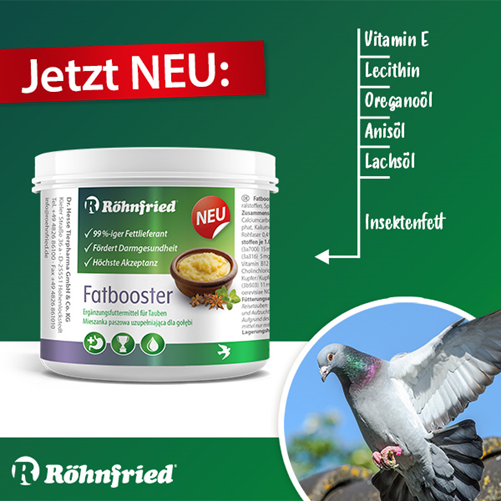 Rohnfriend Collection – Pallatts Limited