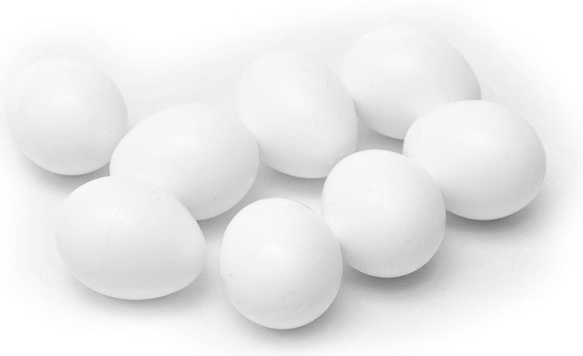 Plastic Pigeon Eggs
