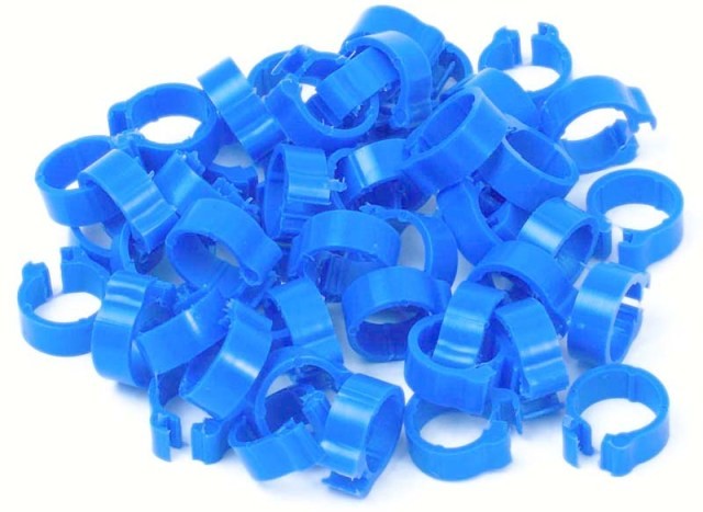 Blue Numbered 8mm Pigeon Rings