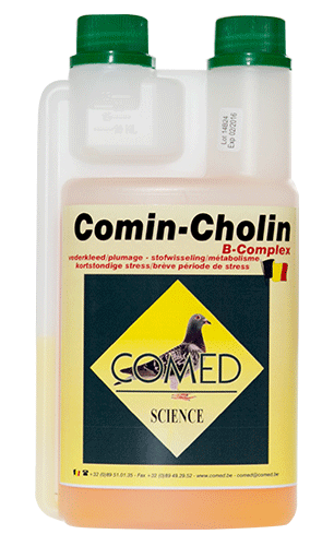 Comin-Cholin B-complex 250 ml